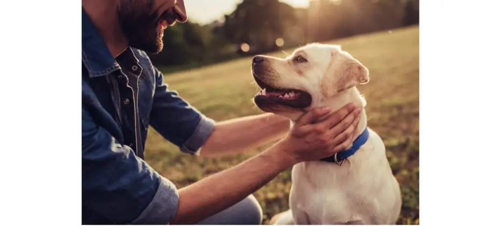 Reasons Why Owning a Pet is Good For Your Health! 1 4