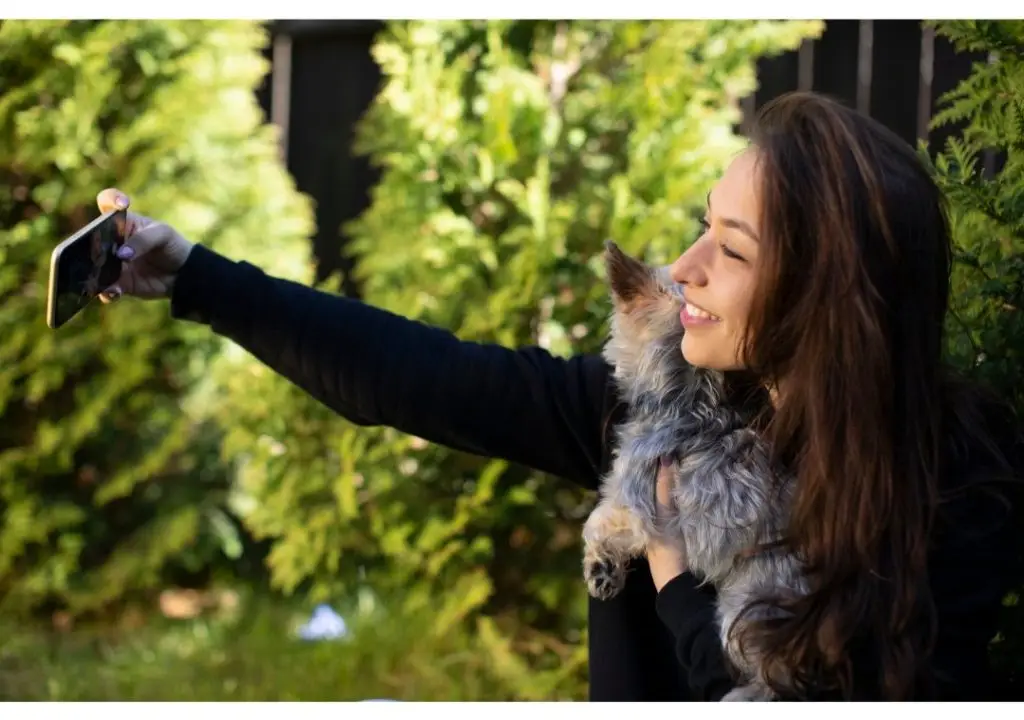 How to Gain a Pet-stagram Following 8 Untitleddesign 324