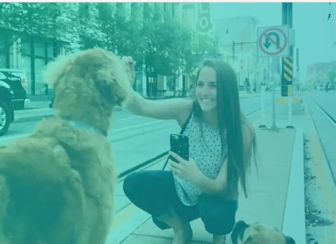 Is there a GPS chip for dogs? 1 IMG 2810