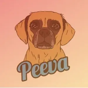 PeevaAgiletraining