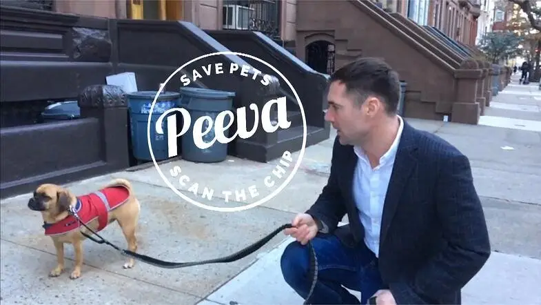 Peeva and michael hamilton UWS manhattan