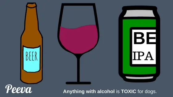 PeevapethealthtipAlcoholisbadfordogs