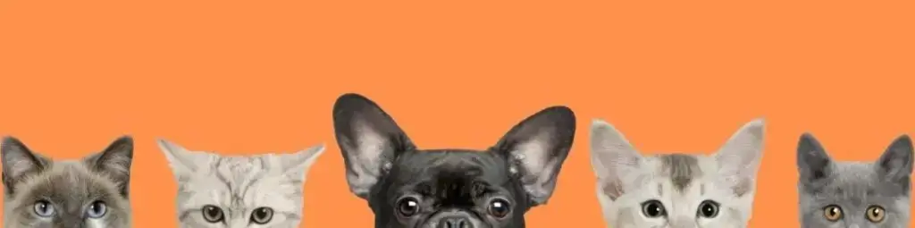 UntitledFacebookCoverInstagramPostSquare