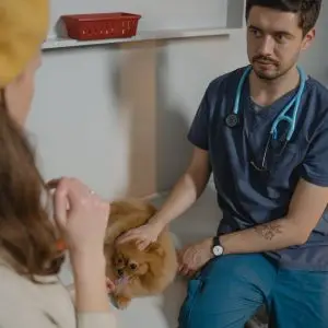 canadogmicrochipcausealump
