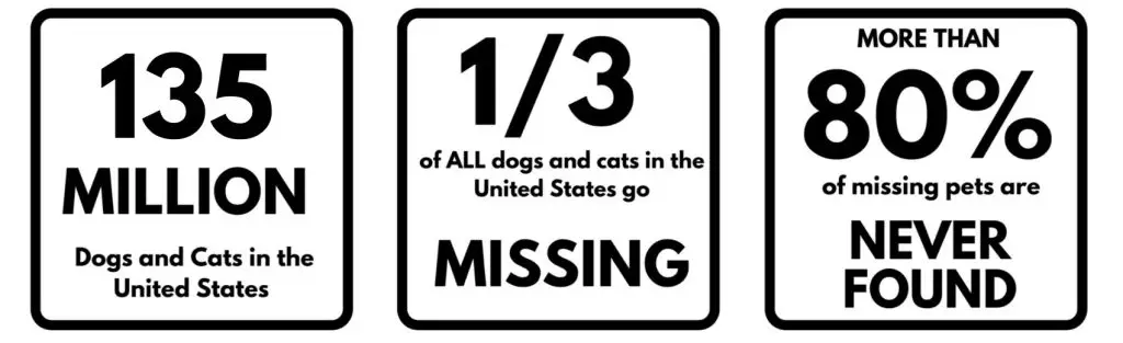 US Missing Pet Epidemic and Euthanasia Statistics: Facts/Figures: 7 lostpetstats 2