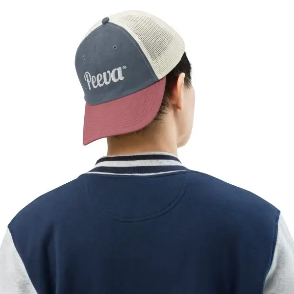 Peeva Vintage-Wash Cap - Image 2
