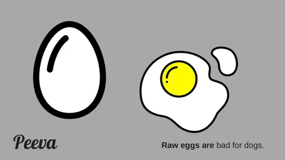 raweggsarebadfordogs