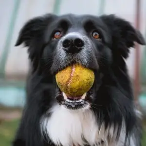 tadeusz lakota GFFoVUqcO4k unsplash