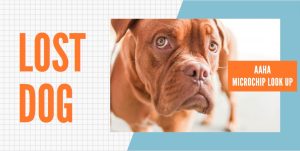 ahaa microchip look up