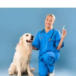 dog identity chip