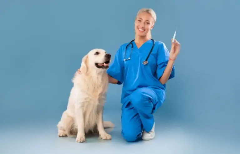 dog tracking chip implant
