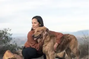 found animals registry