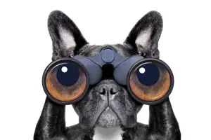 micro tracking devices