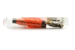 national check the chip day