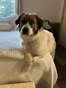 1783865b a336 48dd 824e dede53ad1260