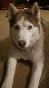 1bf5e873 f89b 48df bdee 6b04a3a1c6c4