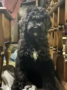 5b45c6d8 bd5f 4966 9232 f152e4ca57fe