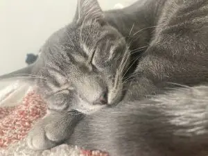 66d28c46 97ce 4bc7 b7f8 77515d9ab245