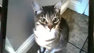 b33fa347 4fb3 4a14 8ee6 774d7a80ef45