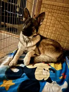 dbe7670b d9e0 4af7 a323 0d9971086776