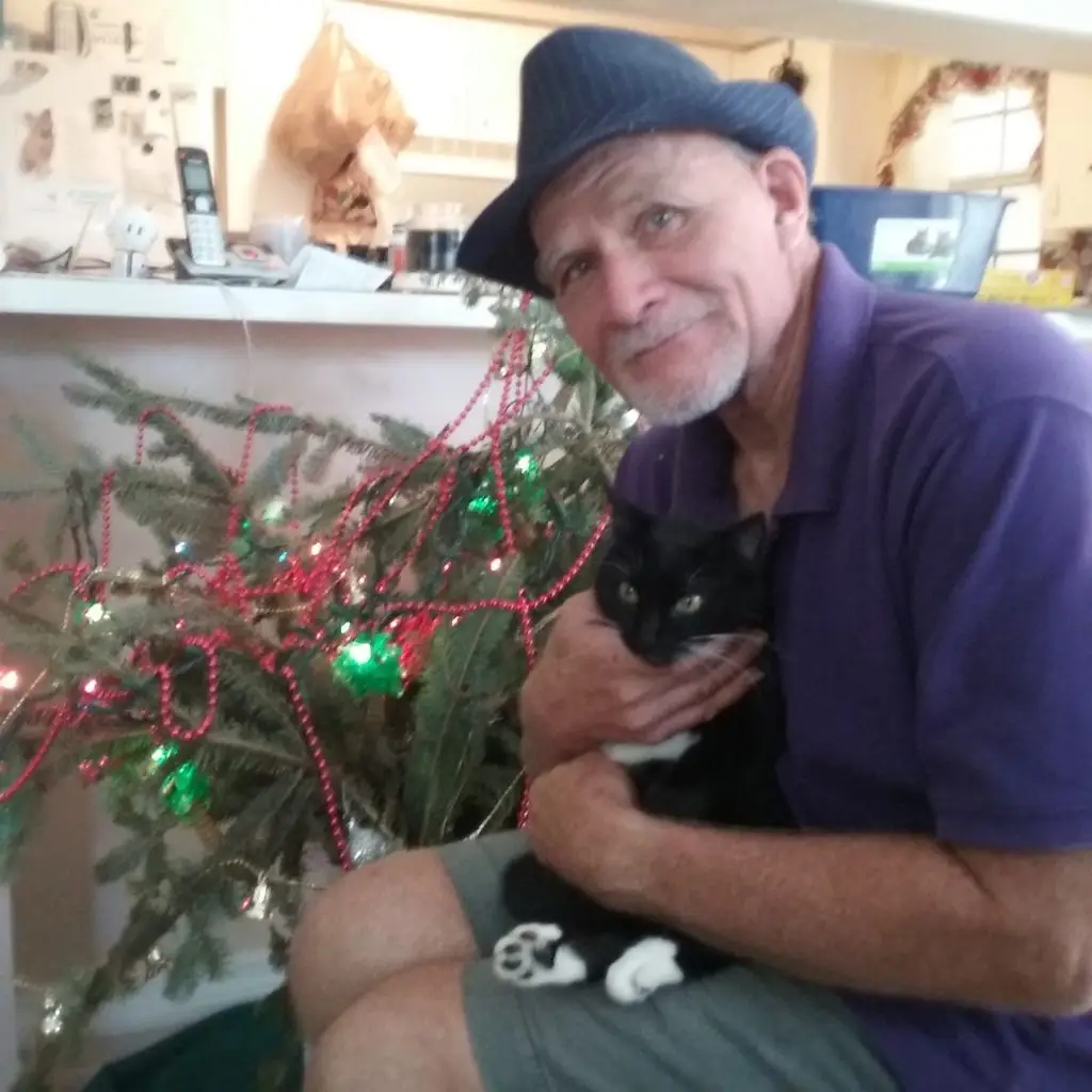 Cat Found "Fern Blickle" in Lehigh Acres, FL 33976 1 unnamed 11