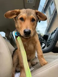 WhatsApp Image 2024 02 06 at 9.00.51 PM