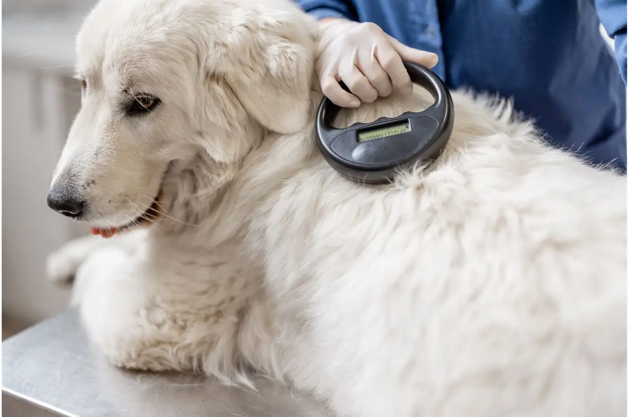 types of microchips for dogs