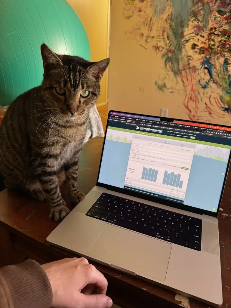 Lost Cat "Beemer" in Sayville, NY 11782 1 unnamed 3