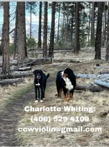 8AC3D543 37FA 4D44 A28B E3C8E6FE7DC1 0