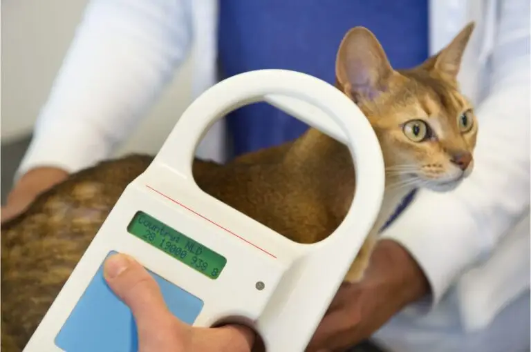 future of pet microchipping