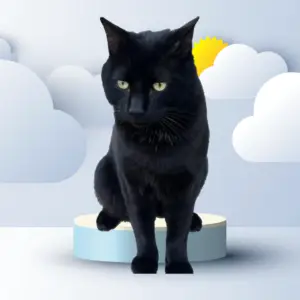 salem