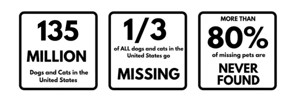 Tiny Needles, Big Safety: All About Microchip Needles for Dogs! 1 135 5