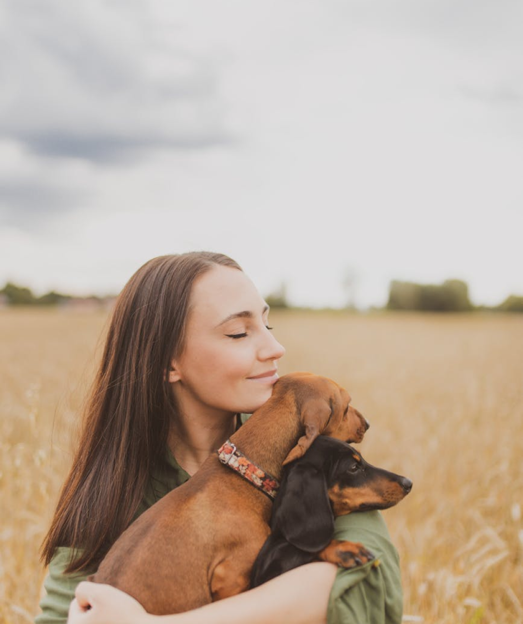 Top Pet Microchip Companies List Discover The Best