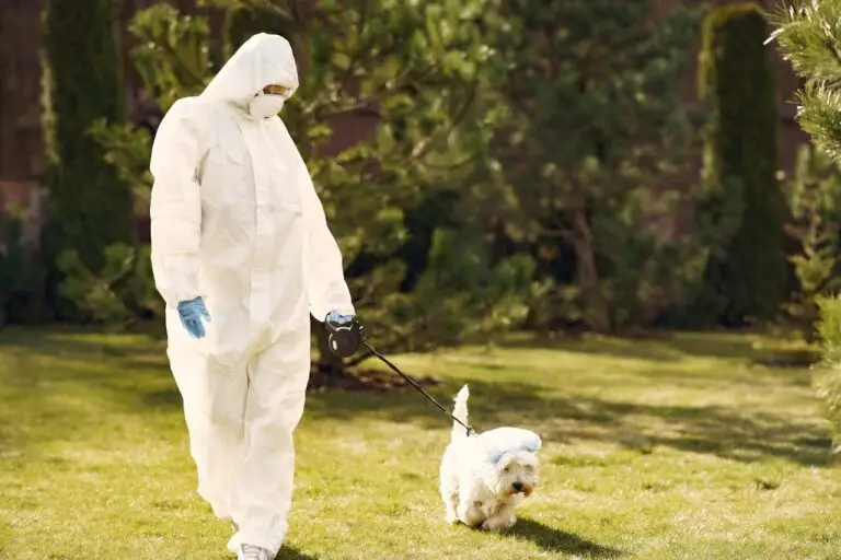 how to protect your pet against theft