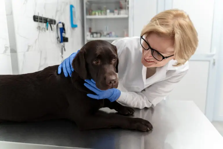 how to scan dog microchip
