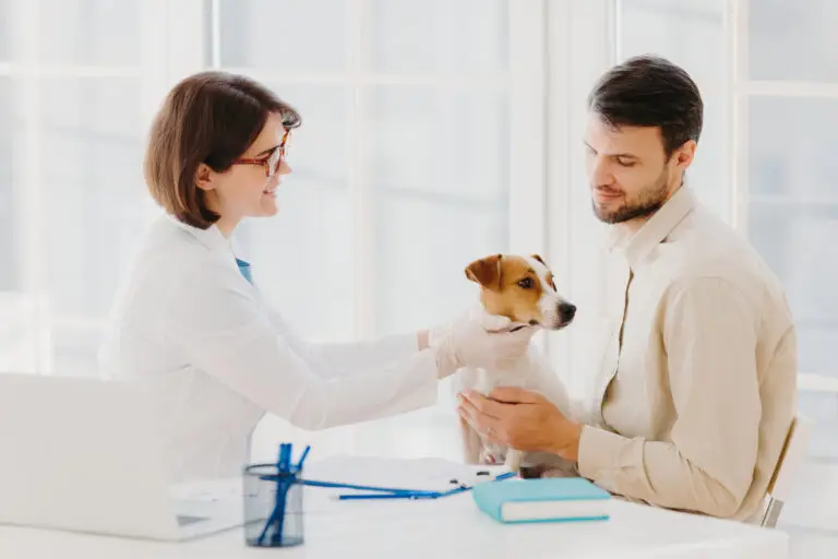 microchip needle