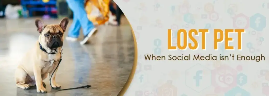 Lost Pet: When Social Media isn’t Enough 5 lost pet