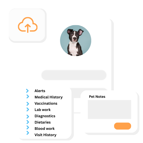 Logo for Photo Printing Company 3