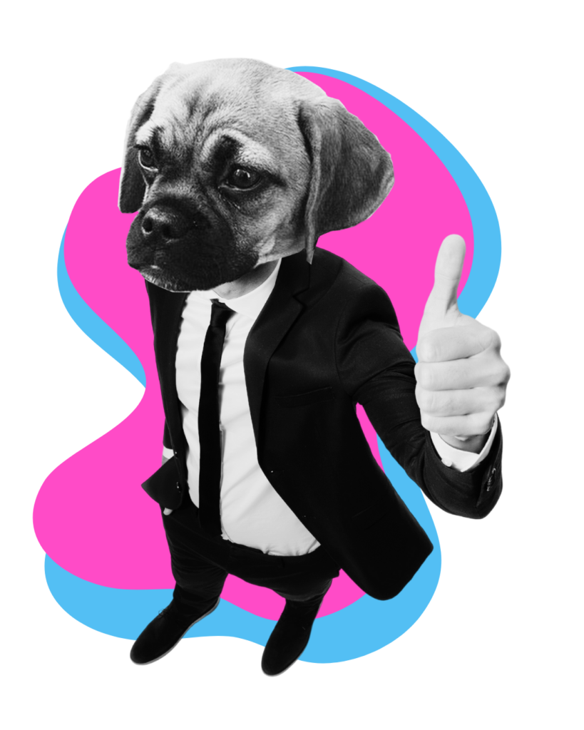 Dog in suit giving thumbs up