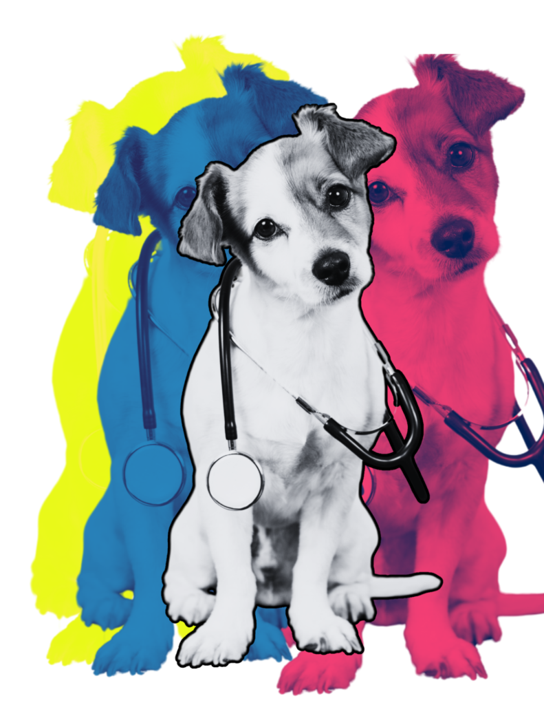 Dog wearing stethoscope, colorful background