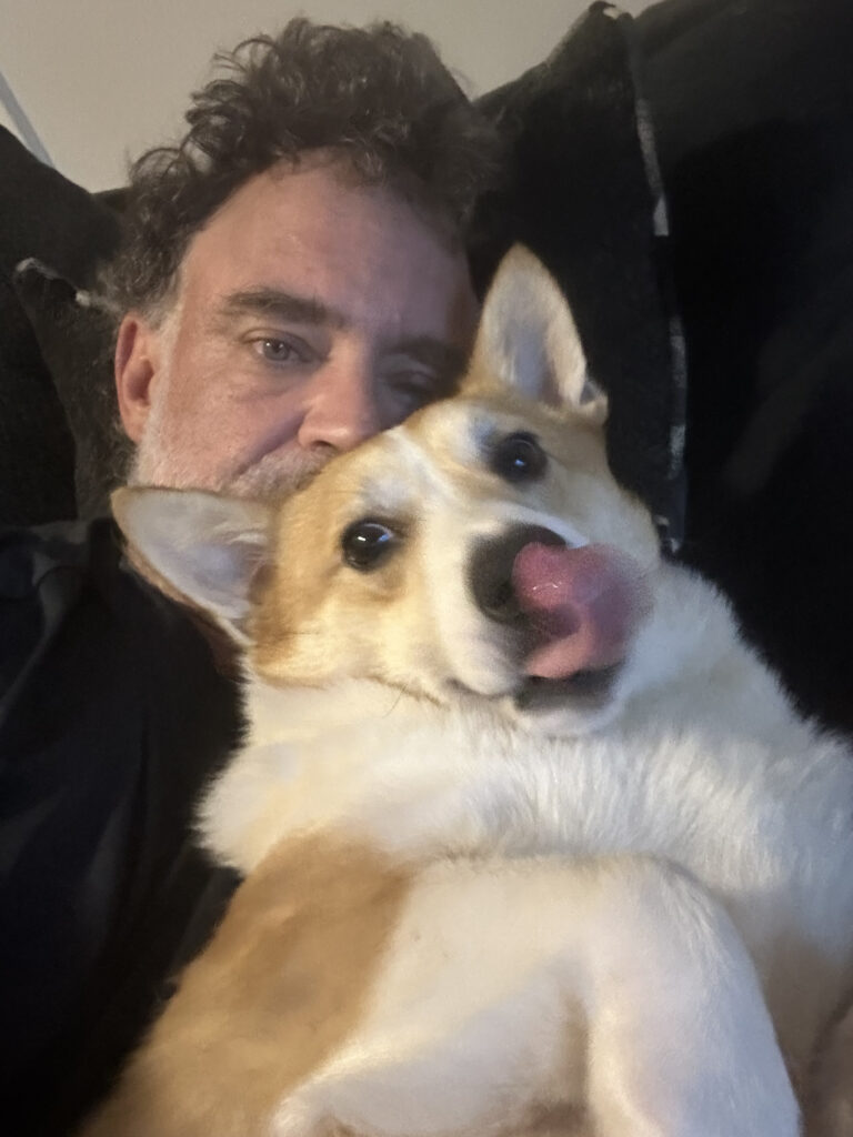 Stolen Corgi $500 reward! 2 IMG_6475-2.jpeg