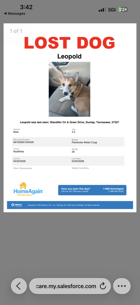 Stolen Corgi $500 reward! 4 IMG_9046-0.png