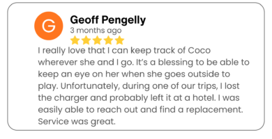 more 5 star reviews