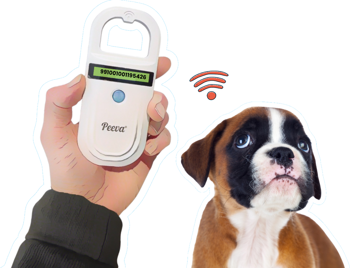 peeva step2 scanner dog